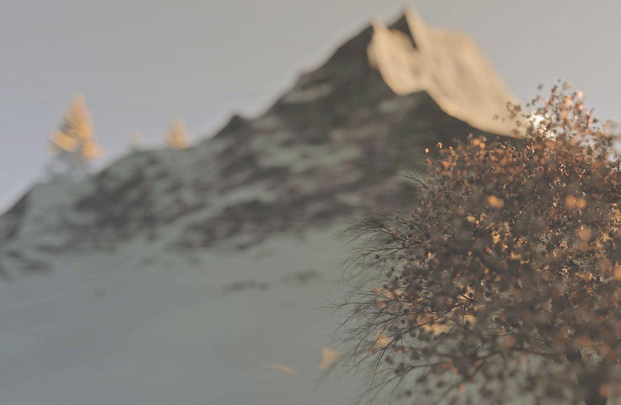 The winter moon by Esvy Renders